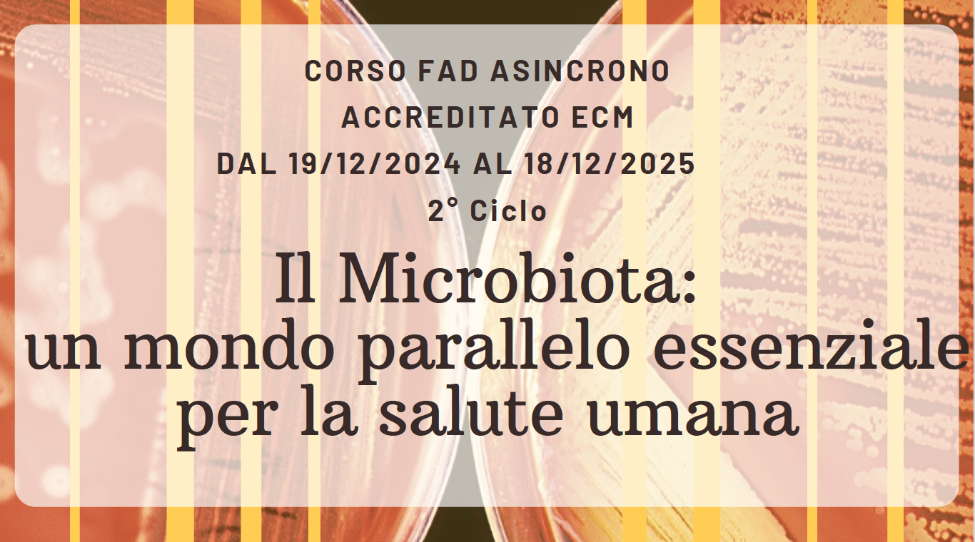 19/12/25 - 18/12/2025_OBTU_SO2633