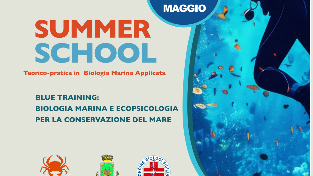 7-10/05/2025 - OBS - SO2836